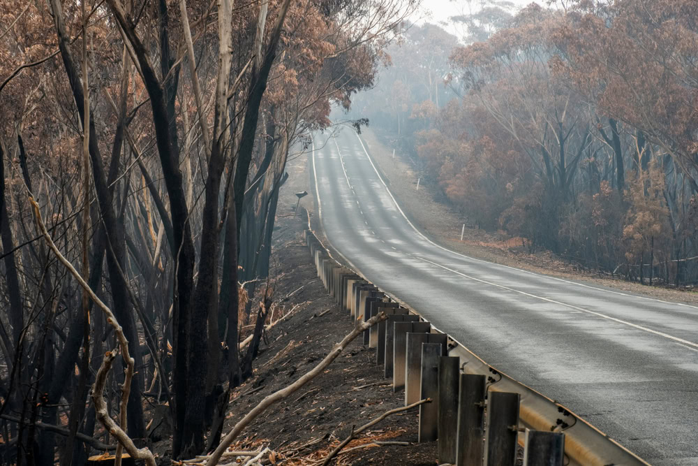 Greenhouse gases and bushfires