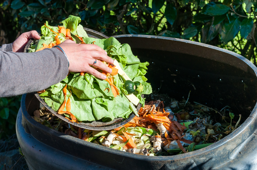 Food waste going to compost